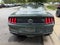 2019 Ford Mustang Bullitt