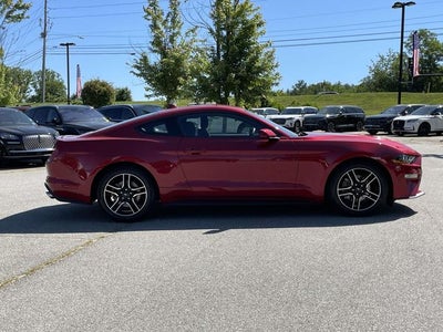 2022 Ford Mustang EcoBoost